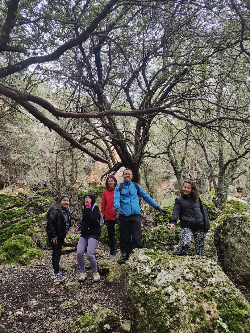 Vive una excursión mágica en el Bosque Encantado de Bajil