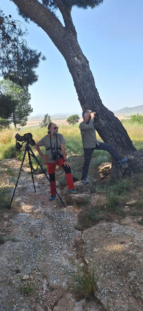 Ruta iniciación a la Ornitología en Caravaca de la Cruz